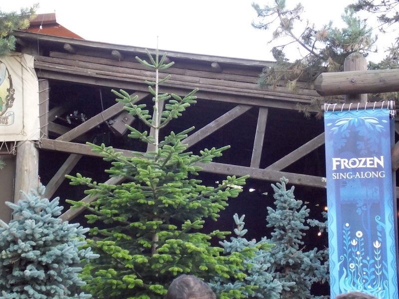 Disneyland París y el disfraz para espectaculo de Elsa