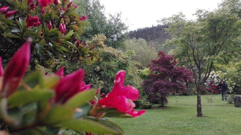 Jardín botánico en San Martín plan para viajar a Galicia