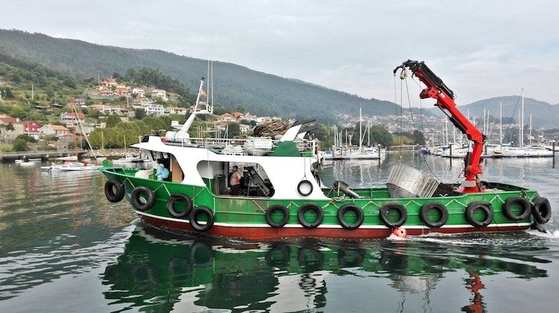 Viajar a Galicia para ver la vida marinera