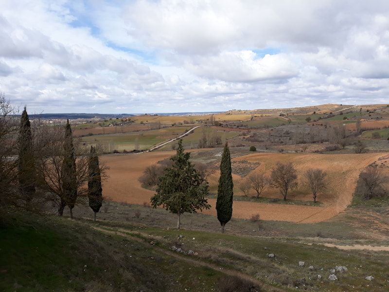 Ribera del Duero en primavera