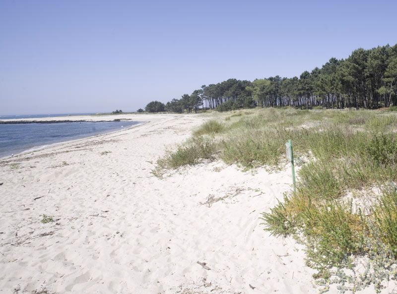 Playa en la desembocadura del Miño
