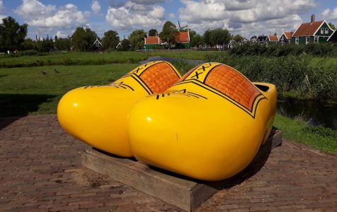 Excursión cerca de Ámsterdam para ver los zuecos