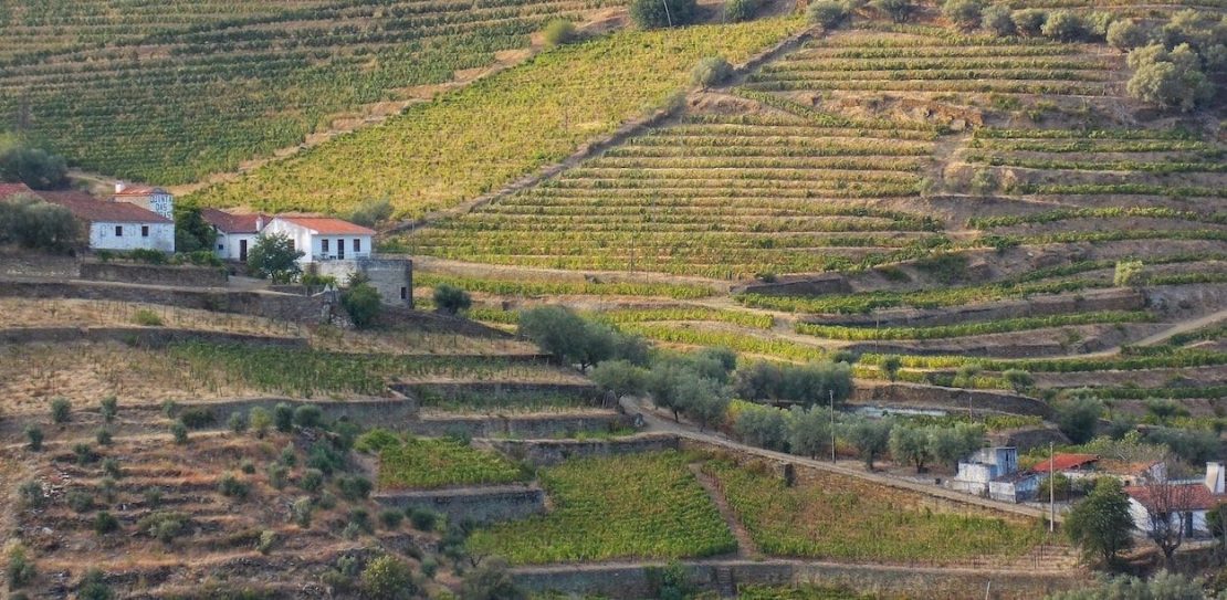 carretera a Pinhao valle del douro