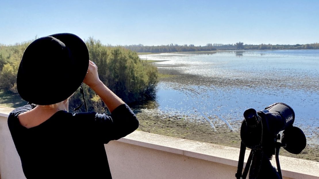 Excursión a Doñana y El Rocío