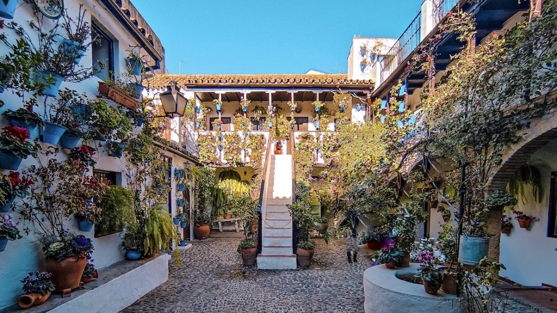 Patios de Córdoba, cómo visitar