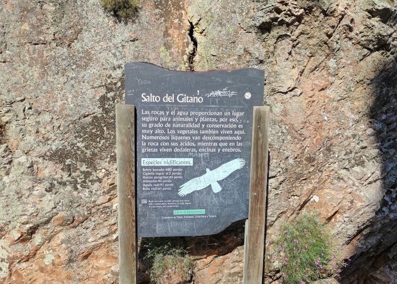 Panel informativo sobre el buitre leonado y aves rapaces en el mirador del Salto del Gitano
