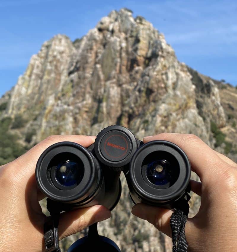 Prismáticos para observación de aves en Monfragüe, equipo esencial para el avistamiento de rapaces