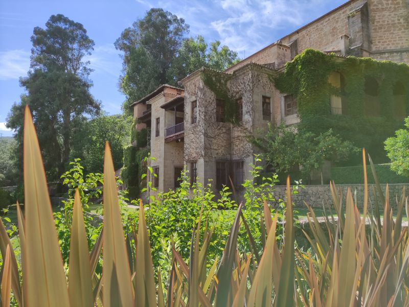 Vegetación y plantas en el entorno del Monasterio de Yuste en Extremadura