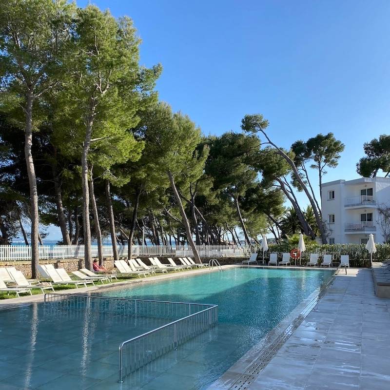 Piscina del hotel Sofia Alcudia Beach rodeada de pinos con el mar Mediterráneo al fondo en el Puerto de Alcudia.
