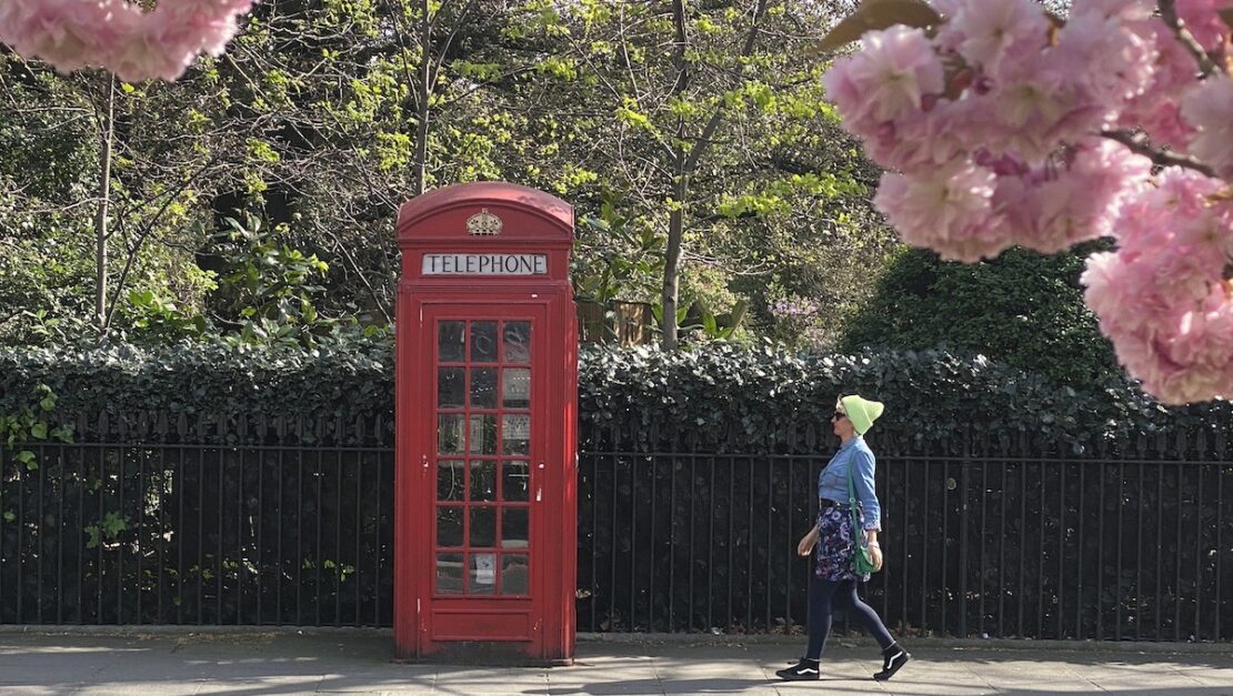 Mónica (el Viaje de Sofi) y una cabina teléfono roja típica de Londres rodeada de flores rosas primavera en una calle.