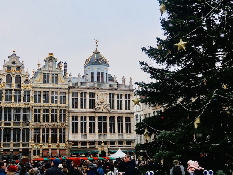 Grand-Place de Bruselas con el árbol de Navidad durante el día, rodeada de edificios gremiales