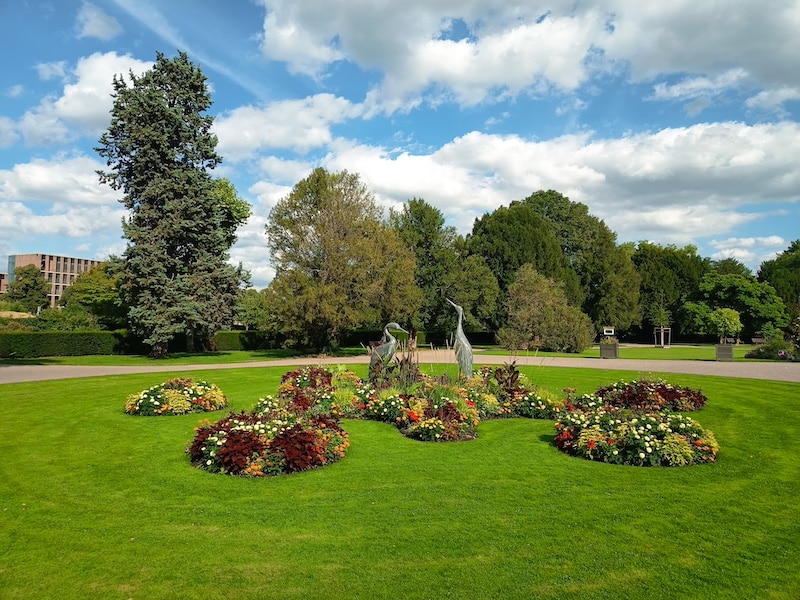 Paseo arbolado y nidos de cigüeñas en el Parque de la Orangerie de Estrasburgo.