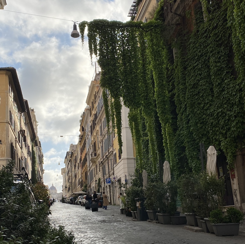 Calle residencial del barrio de Prati, una de las mejores zonas donde dormir en Roma.