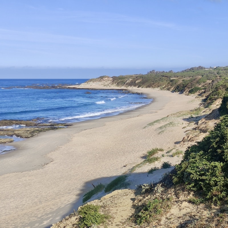 Playa de Punta Paloma en Tarifa totalmente vacía con dunas, vegetación y el mar Atlántico en un día despejado.