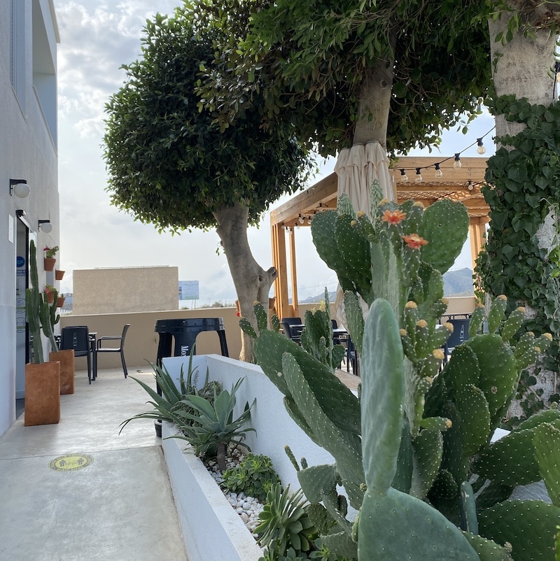 Fachada de arquitectura blanca tradicional con cactus, plantas y detalles de madera en el Hostal Bajío, Cabo de Gata.