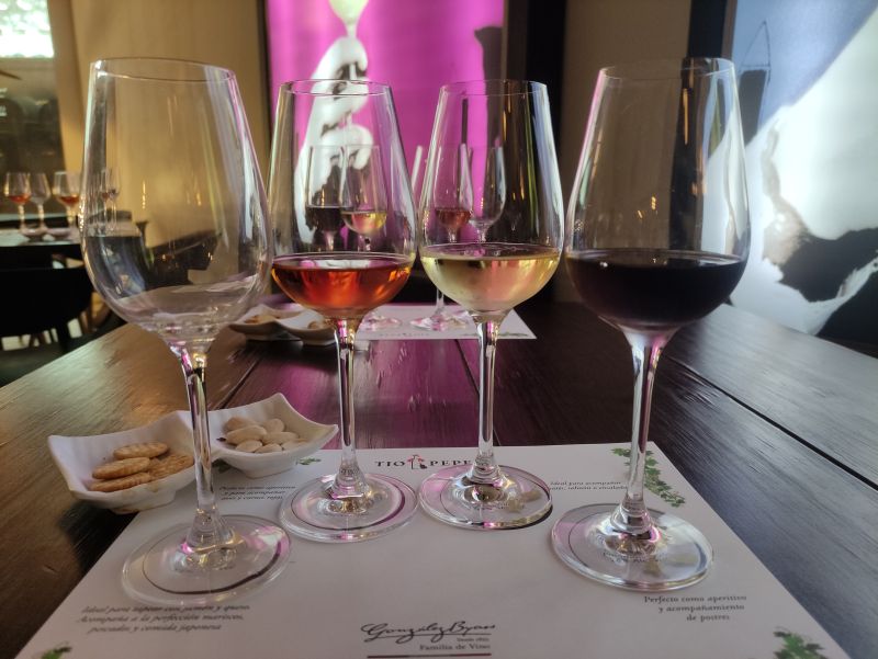 Cata de vinos de Jerez