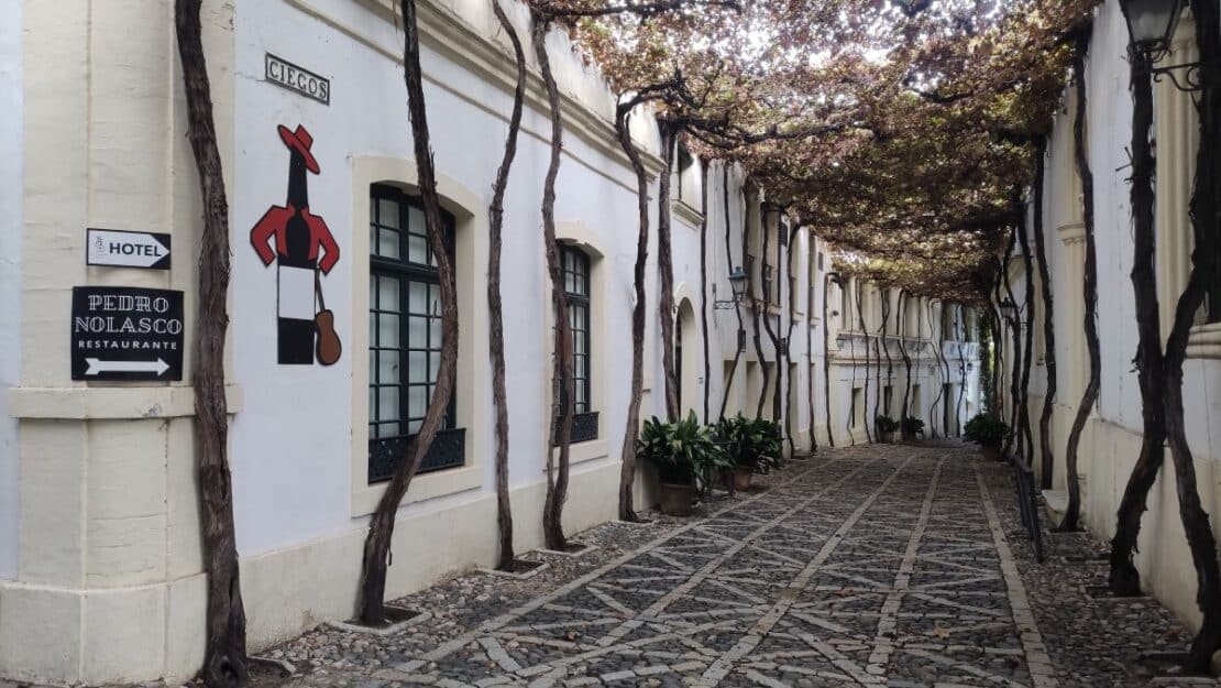 Qué ver en Jerez de la Frontera en un día: guía completa