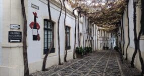 Qué ver en Jerez de la Frontera en un día: guía completa